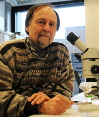 Schmid-Hampel