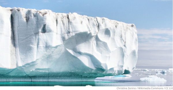Gletscher Gr�nland